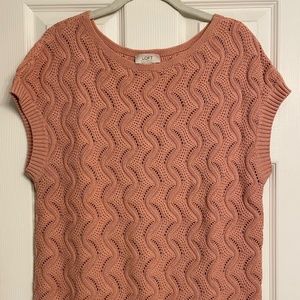 LOFT Sleeveless Tunic Sweater